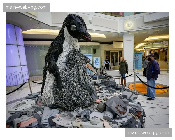 可持续之旅：追踪一场国际摔跤赛事产生的塑料垃圾如何处理